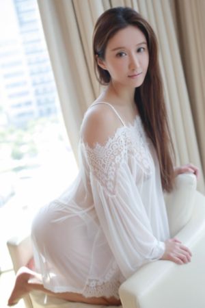 绝对控制电视剧免费观看全集